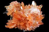 Orange Creedite Crystal Cluster - Durango, Mexico #79377-1